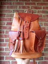 Load image into Gallery viewer, Rosy Leather Backpack
